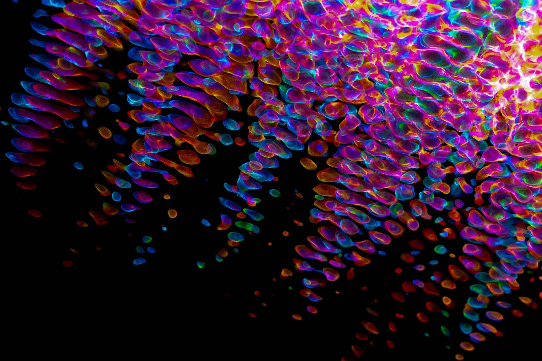 capture de l'édition sur canvas avec calques et expansion d'image