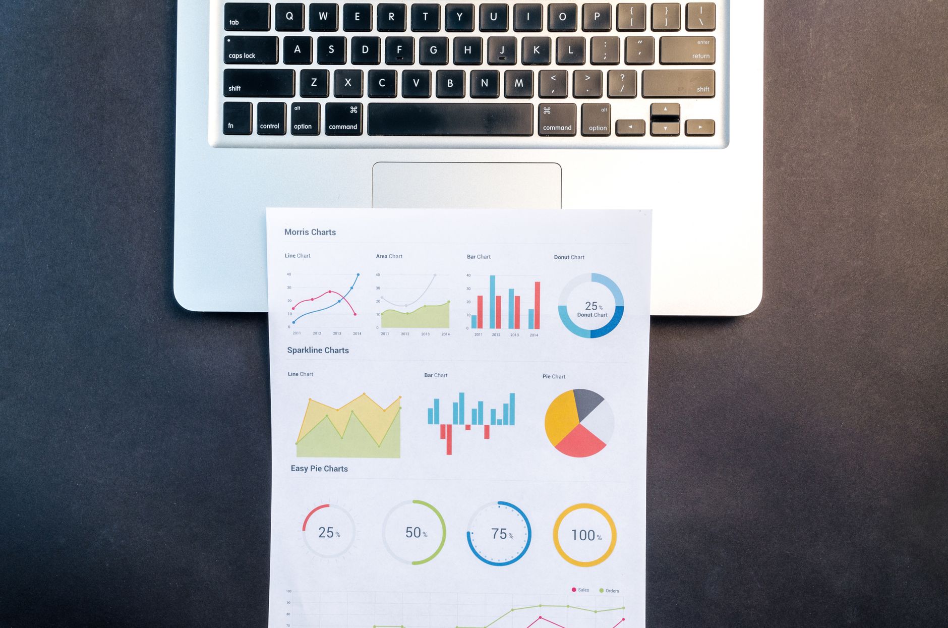 capture d'un rapport Site Audit avec problèmes priorisés